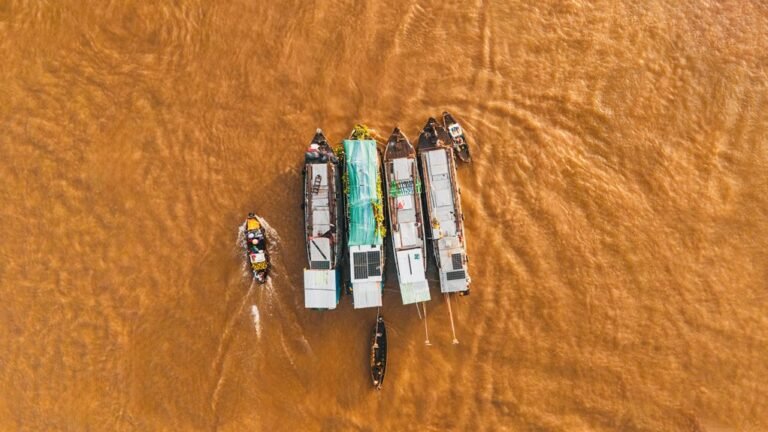 market activity analysis summary